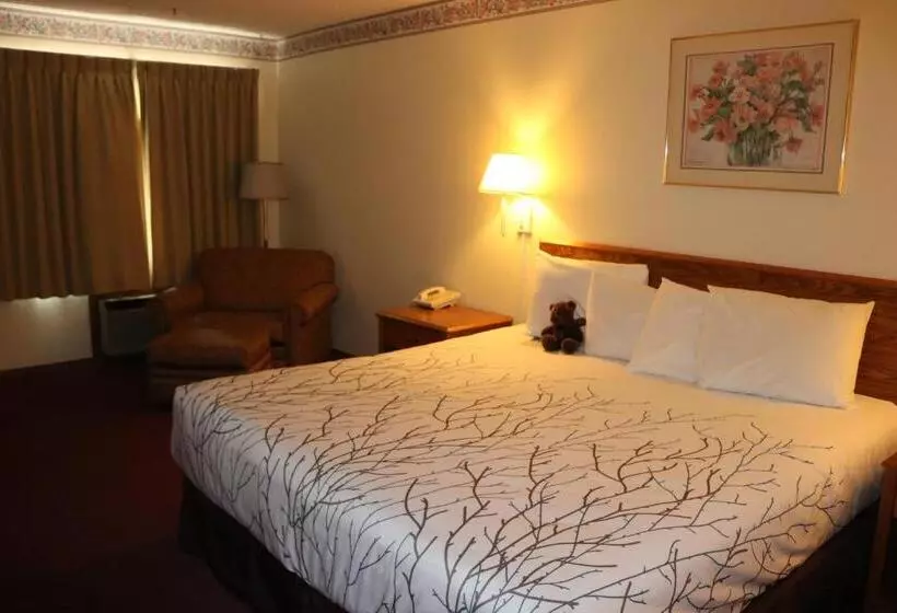 호텔 Roosevelt Inn Mount Rushmore