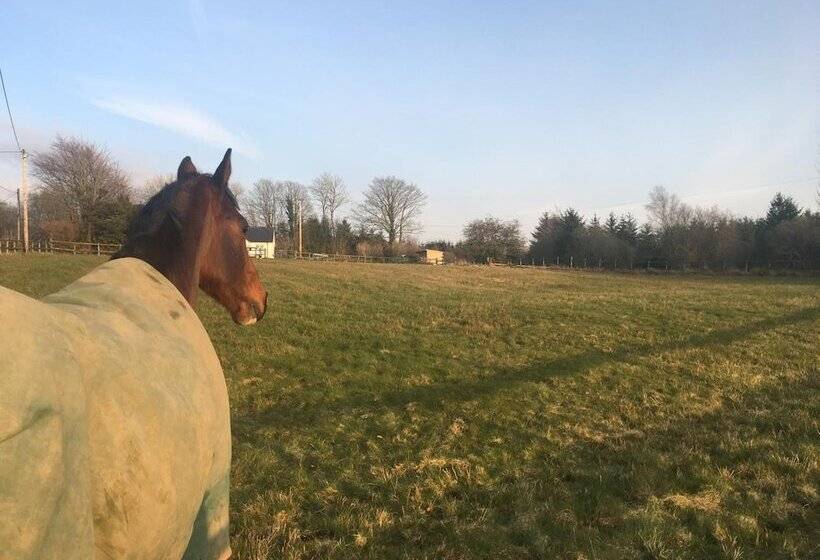 فندق Brynllwyd Glamping