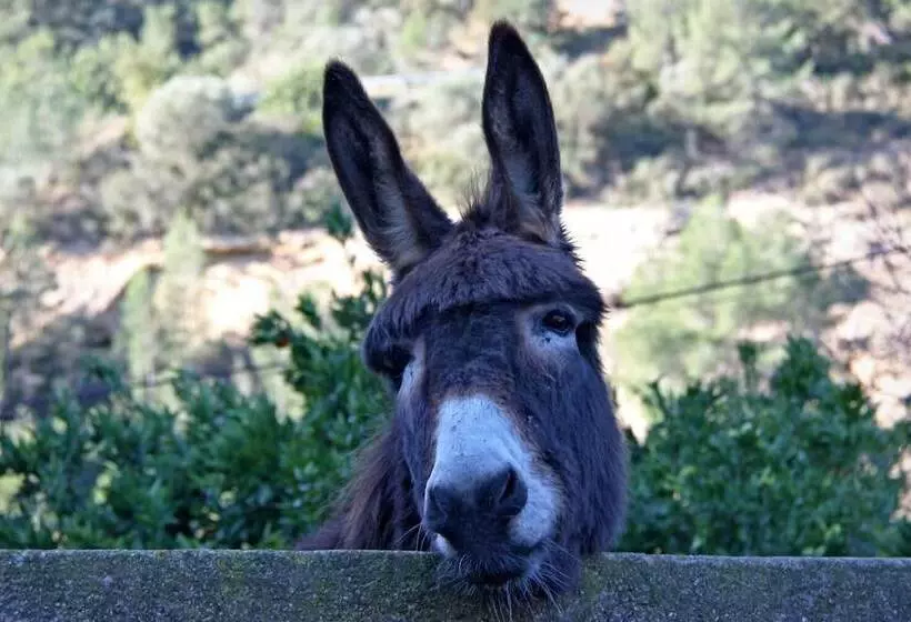 Maaseutuhotelli Hort De Mao El Rebost