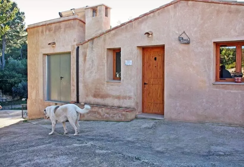 Maaseutuhotelli Hort De Mao El Rebost