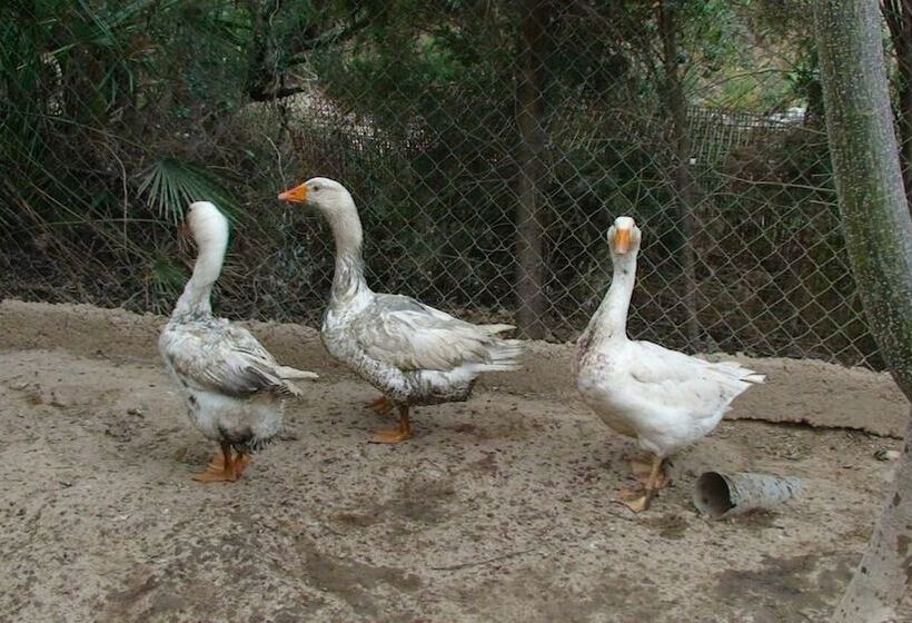 乡村酒店  Hort De Mao El Rebost