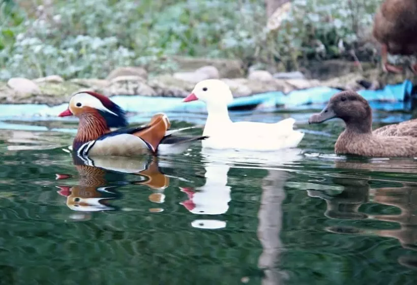 Maaseutuhotelli Hort De Mao El Rebost