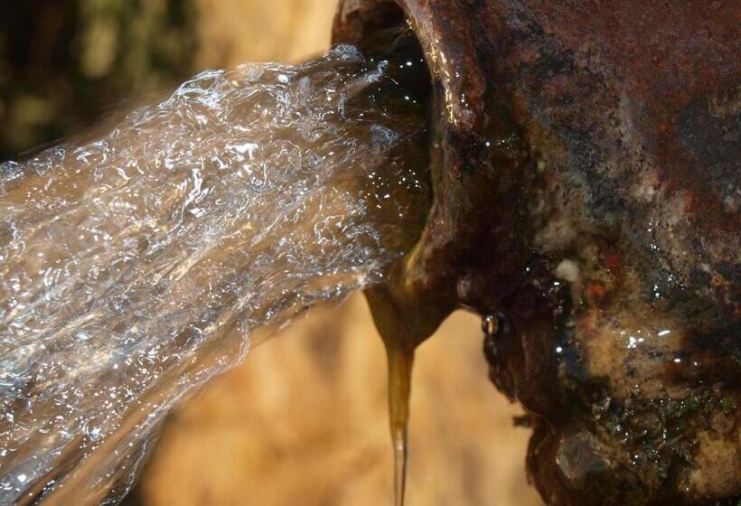 Пансион Guesthouse Podaca