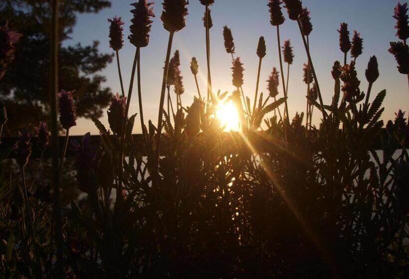 Пансион Guesthouse Podaca