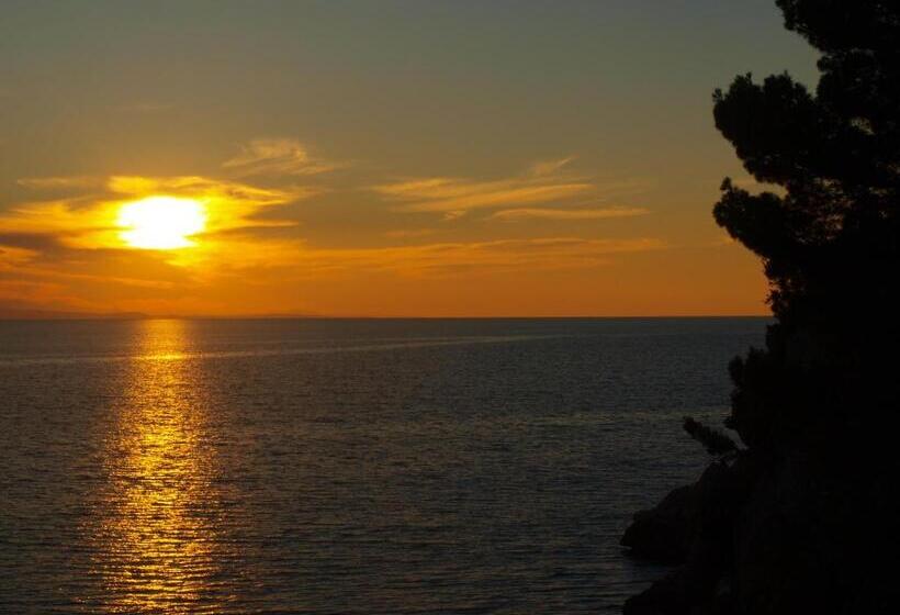 Пансион Guesthouse Podaca