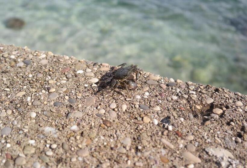 Пансион Guesthouse Podaca