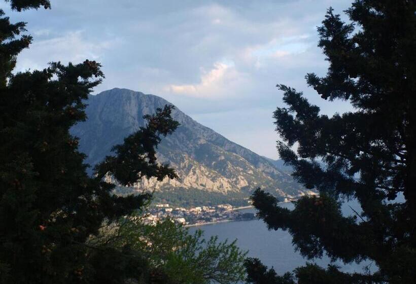 Пансион Guesthouse Podaca