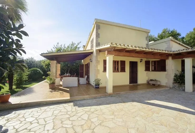Tintorer