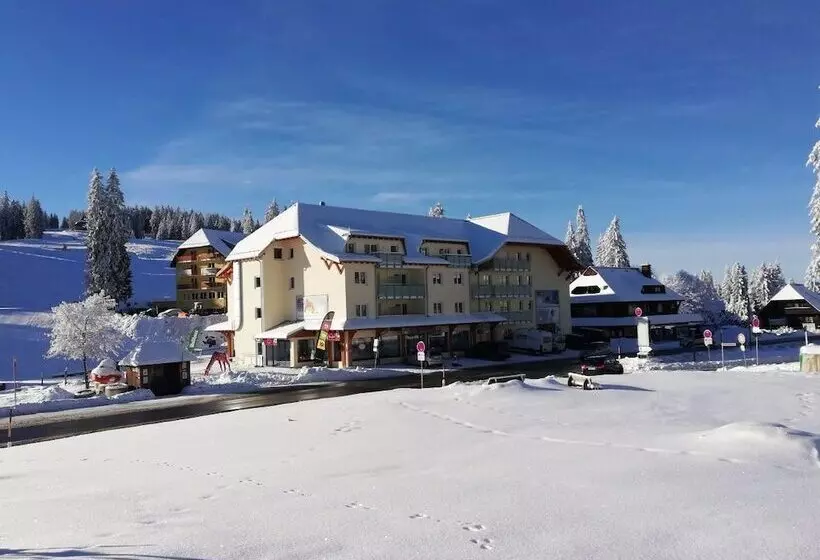 Ferienwohnung Schwarzwaldnest Feldberg