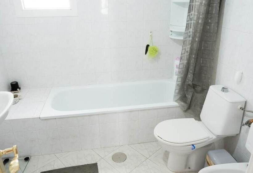 Albatros Apartment A