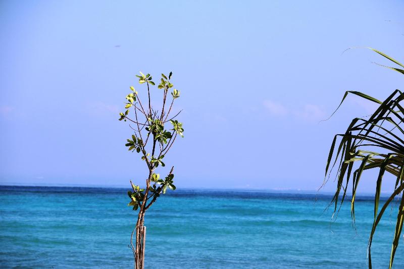 فندق Pemedal Beach Resort