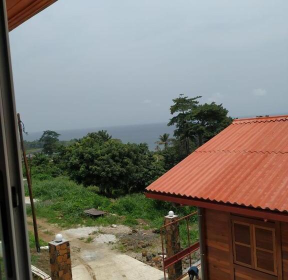 پانسیون Domus Guesthouse