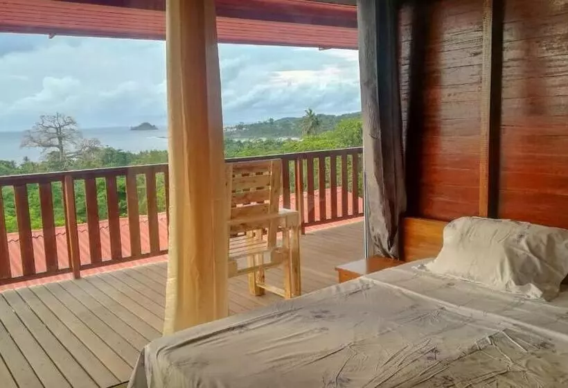 پانسیون Domus Guesthouse