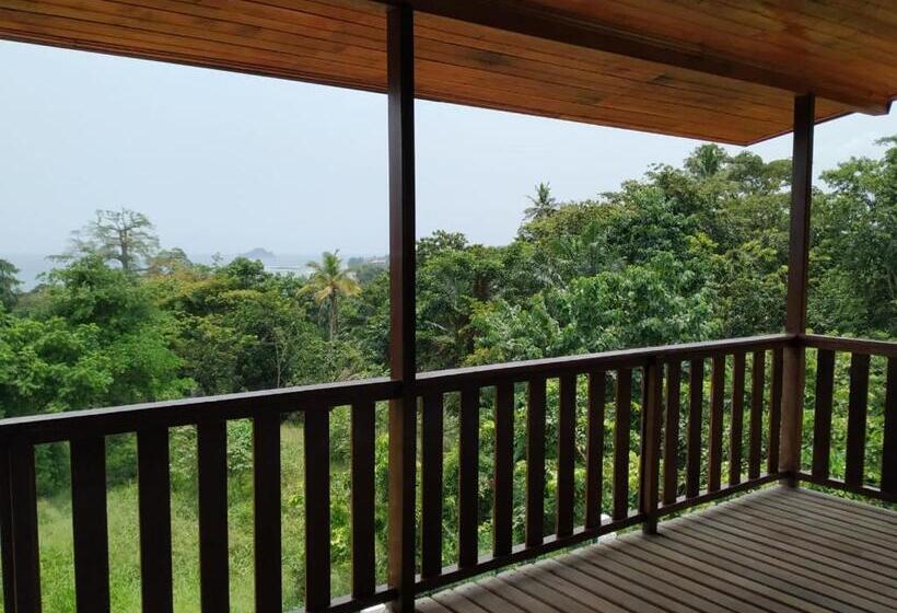 پانسیون Domus Guesthouse