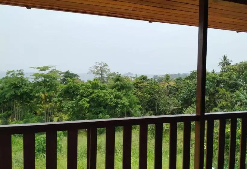 پانسیون Domus Guesthouse