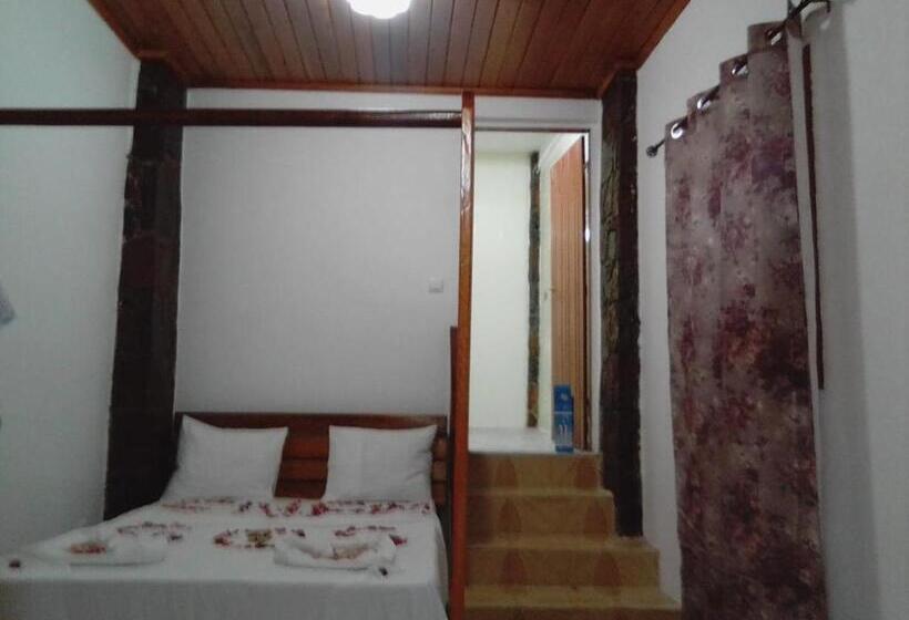 پانسیون Domus Guesthouse