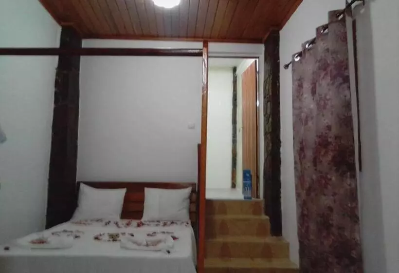 پانسیون Domus Guesthouse