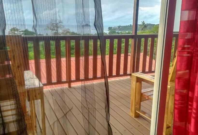 پانسیون Domus Guesthouse