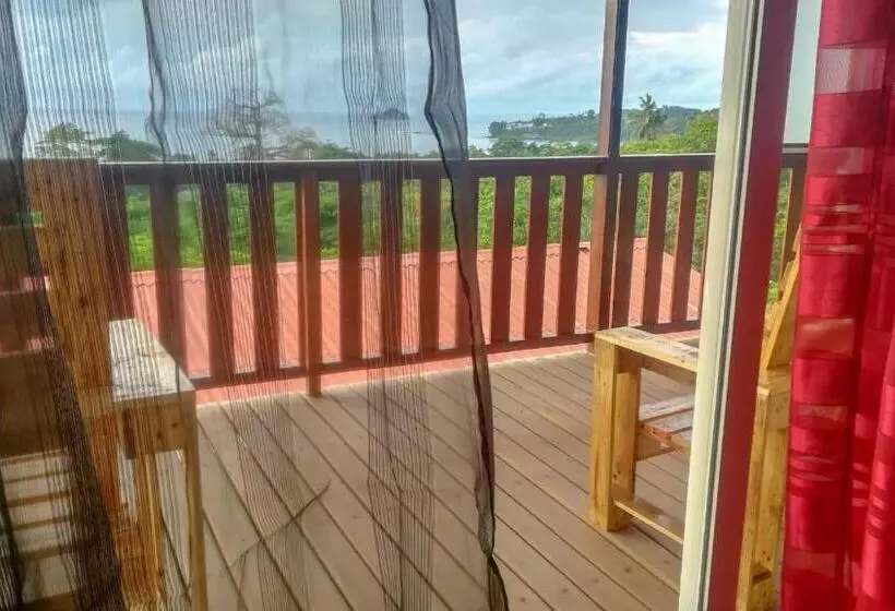 پانسیون Domus Guesthouse