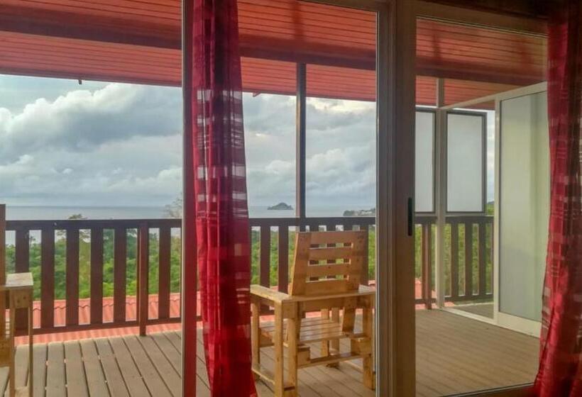 پانسیون Domus Guesthouse