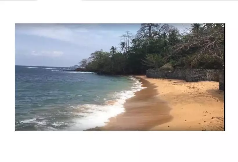 پانسیون Domus Guesthouse