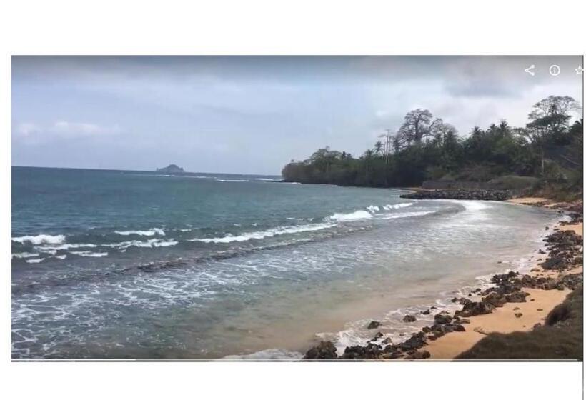 پانسیون Domus Guesthouse