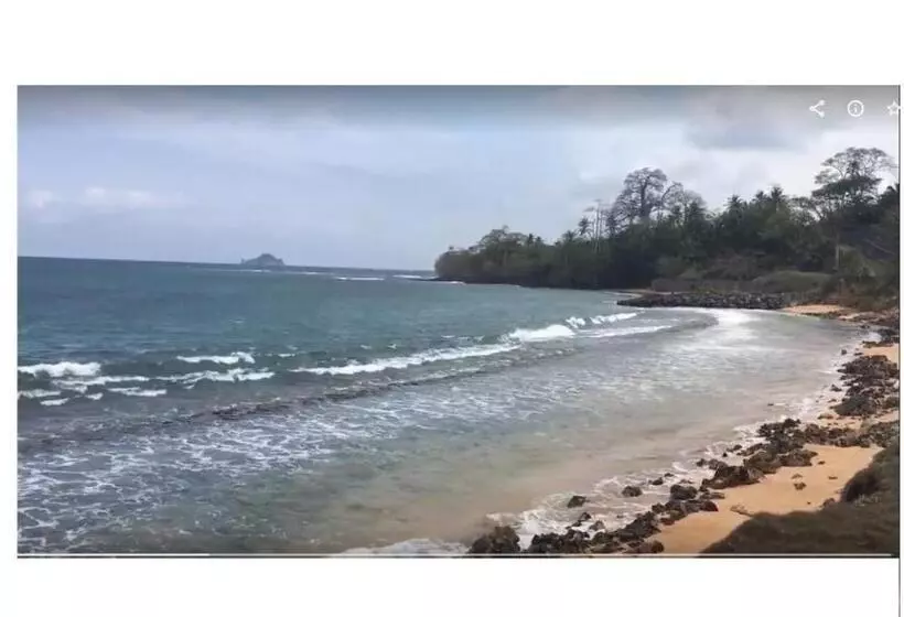 پانسیون Domus Guesthouse