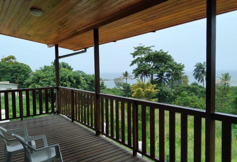 پانسیون Domus Guesthouse