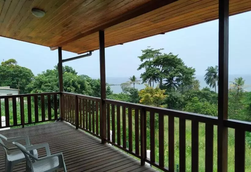 پانسیون Domus Guesthouse