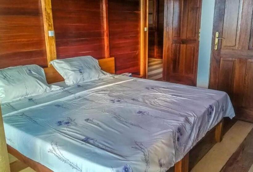 پانسیون Domus Guesthouse