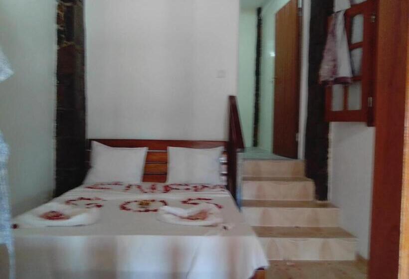 پانسیون Domus Guesthouse