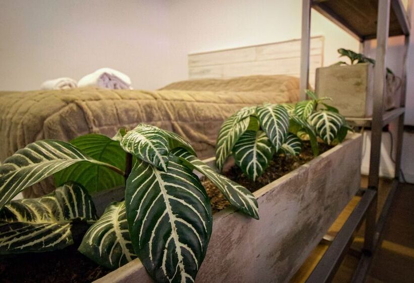 هتل Apart Dorrego