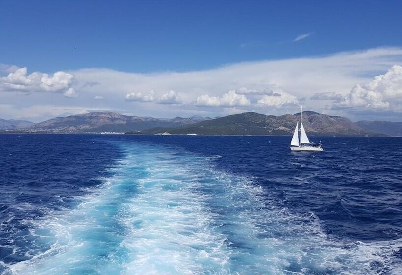 Pension (Hôtel basse catégorie) Apollo