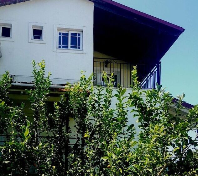 Pension (Hôtel basse catégorie) Apollo