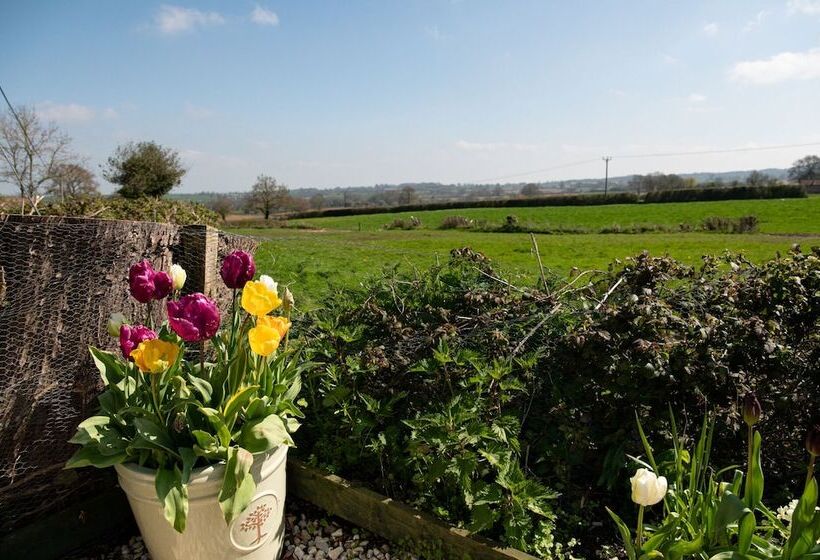 צימר Corner House