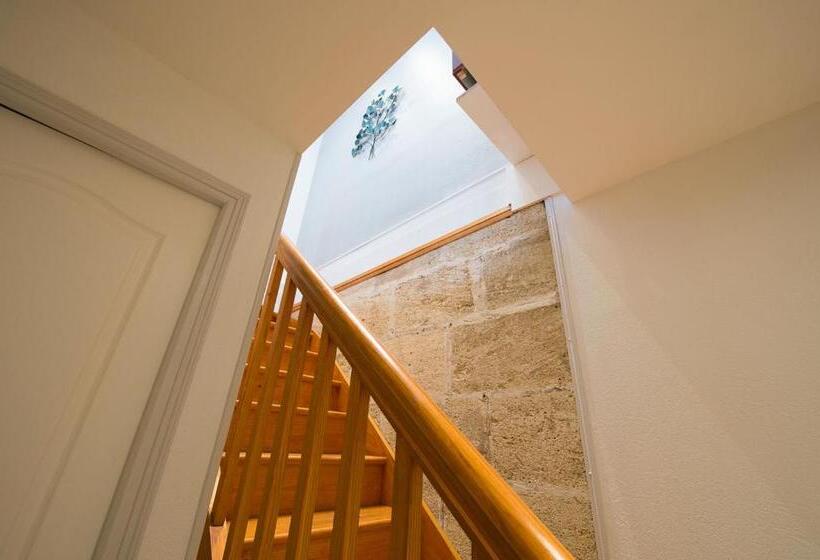 Magnifique Appartement Au Cœur Du Quartier Historique Saint Michel