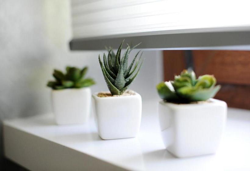 Feel Good Penthouse With Jacuzzi