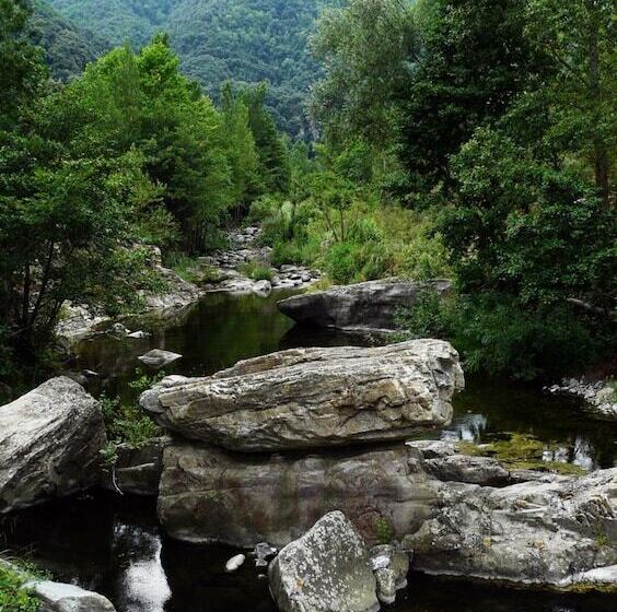 乡村酒店  Mas Els Terrats