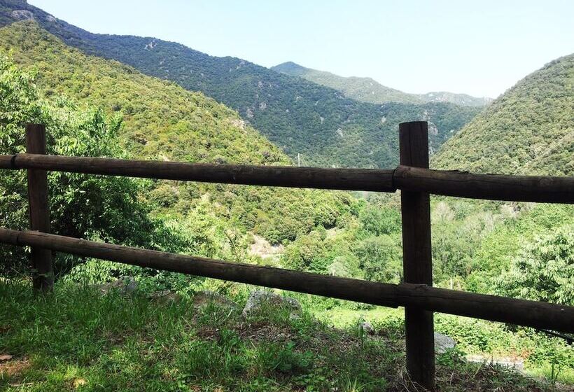 乡村酒店  Mas Els Terrats