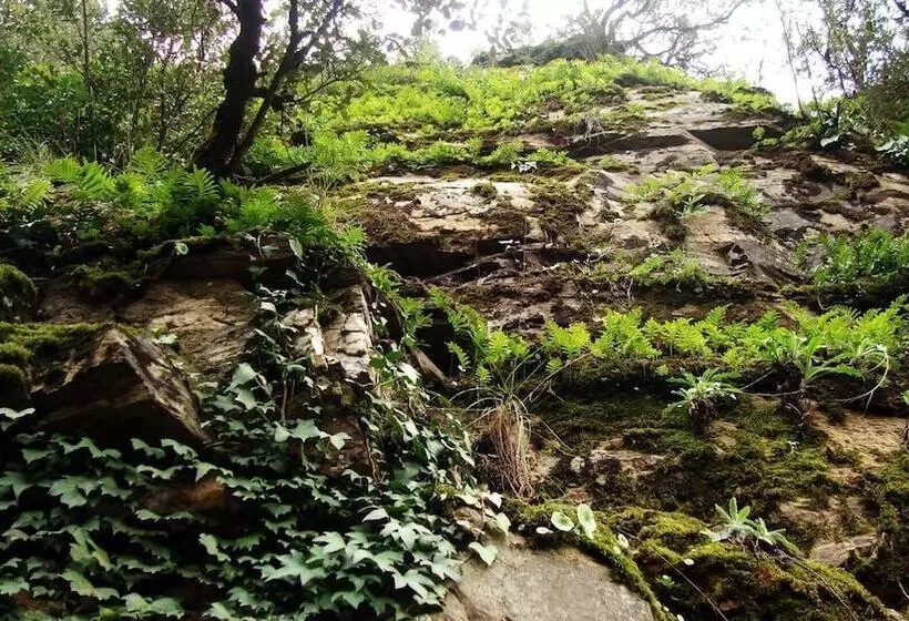 Maaseutuhotelli Mas Els Terrats