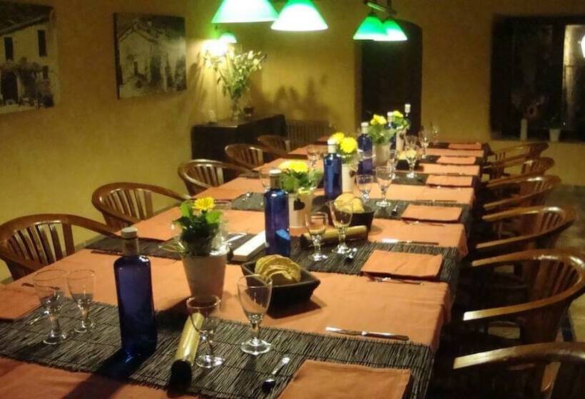 乡村酒店  Mas Els Terrats