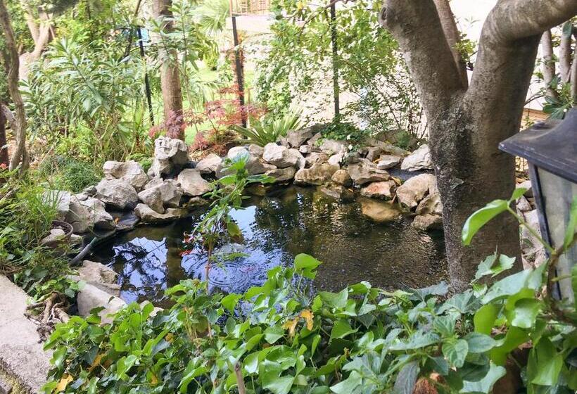 Apartments And Room Mirjana