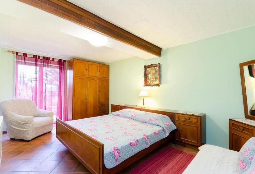 Apartments And Room Mirjana