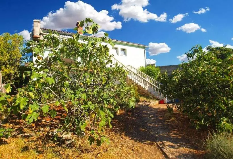 Apartments Olivera 286