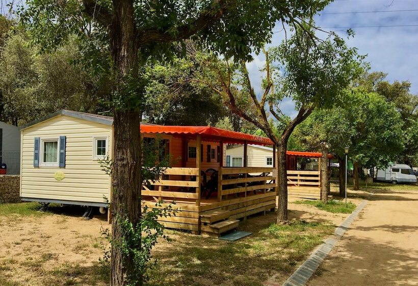 酒店 Camping Castell D Aro