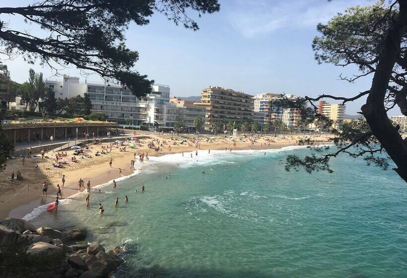 酒店 Camping Castell D Aro