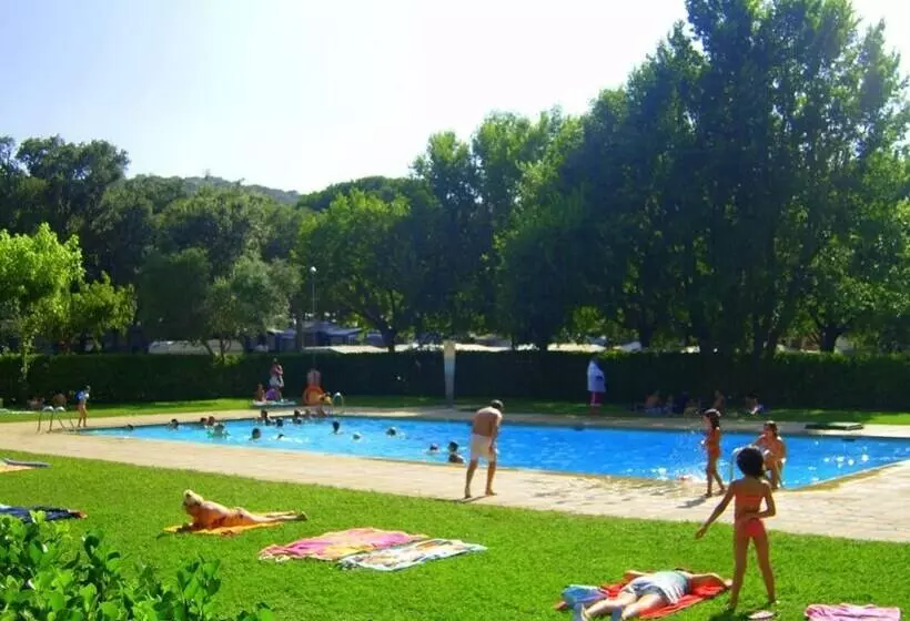ホテル Camping Castell D Aro