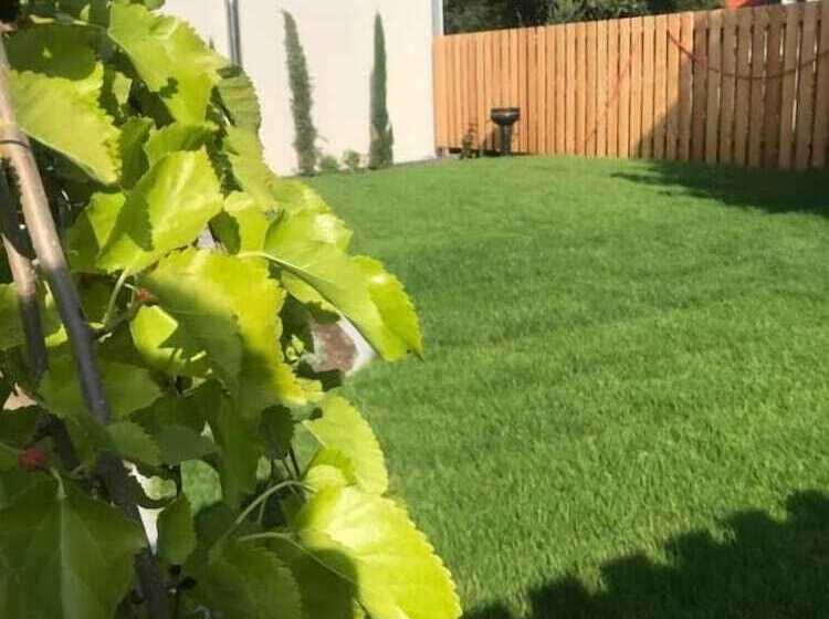 بنسيون Zur Quelle   Ferien Apartment Haus