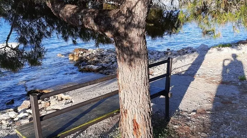 Apartments Andrijana