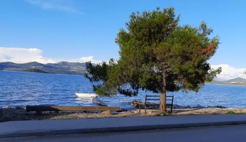 Apartments Andrijana